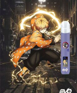 evo主機紫色