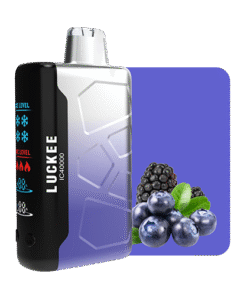 IC40000 MIX BERRY